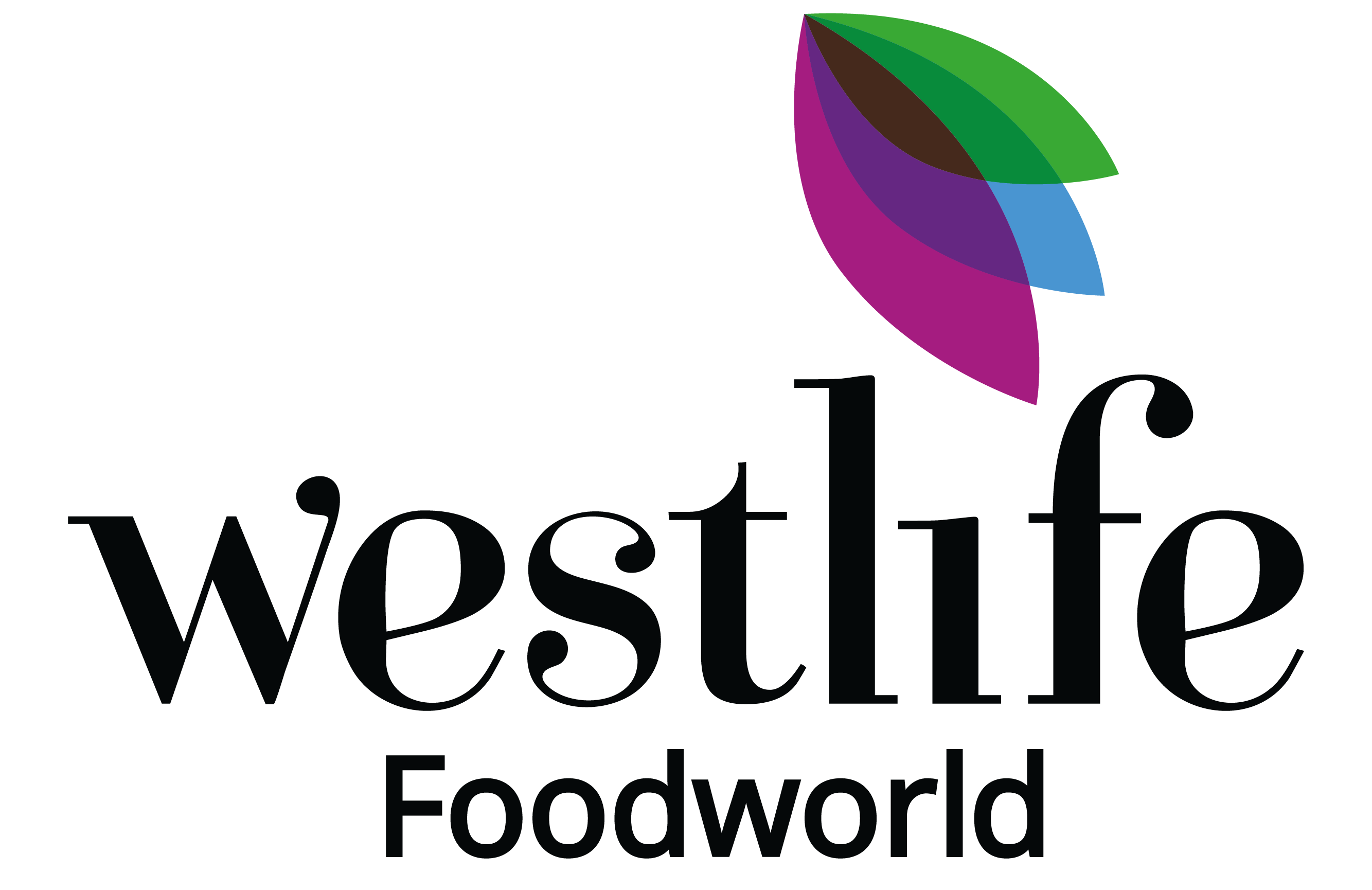 WFL-Financial-Results-Sep-2024-Outcome-of-BM-24.10.2024 - Westlife